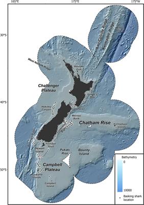 Drivers of Spatial Distributions of Basking Shark (Cetorhinus maximus) in the Southwest Pacific